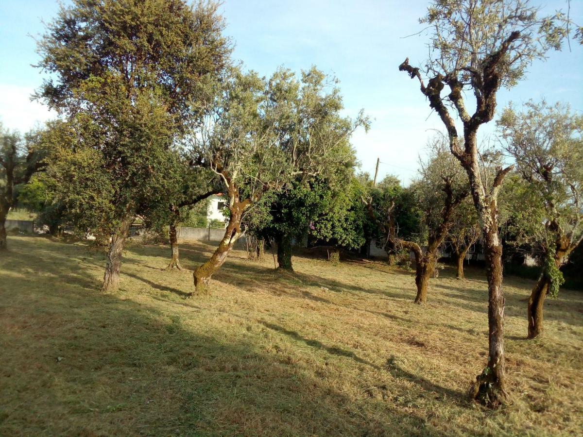 Casa Do Olival Villa Figueiro Dos Vinhos Luaran gambar