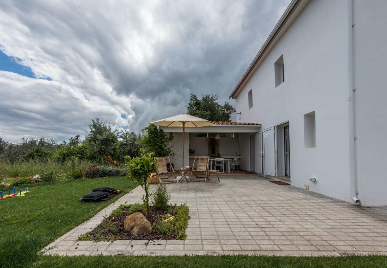 Casa Do Olival Villa Figueiro Dos Vinhos Luaran gambar